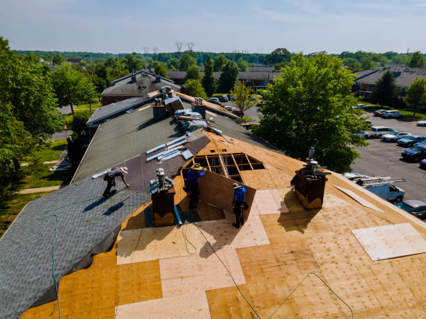 Best Roof Waterproofing Services  in Montz, LA