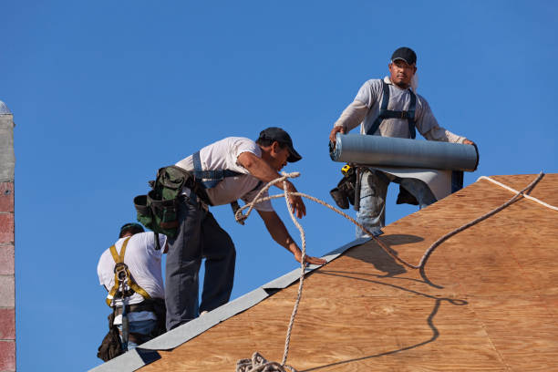 Best Roof Gutter Cleaning  in Montz, LA