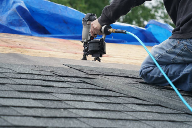 Best Metal Roofing Contractor  in Montz, LA