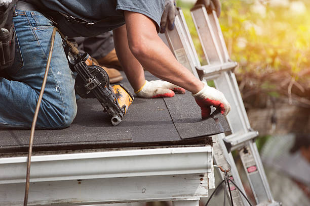 Best Roof Gutter Cleaning  in Montz, LA